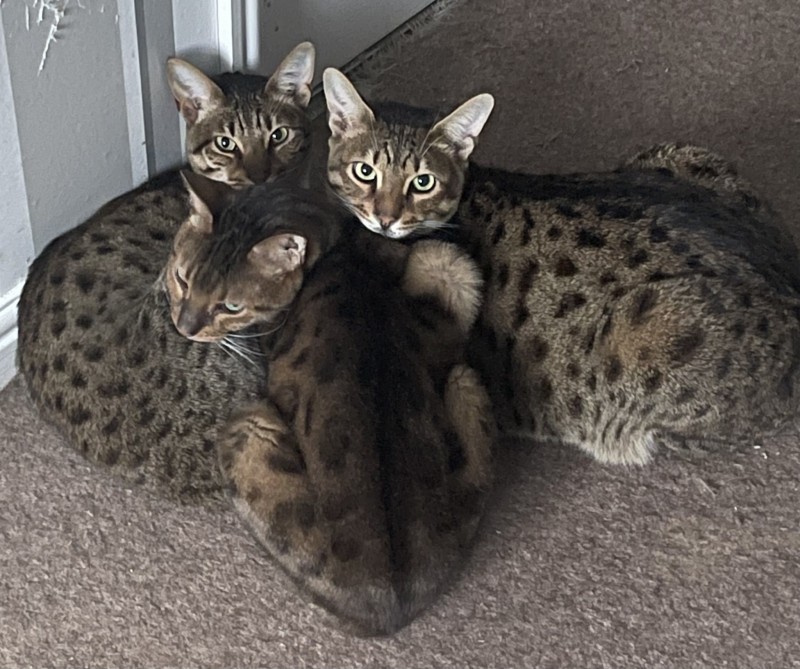 567723FD-C077-4C8E-AC5B-D7D54D63B2E8