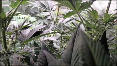 6AFD7ADA-F68D-486B-A7DD-CF780F8DB5A8