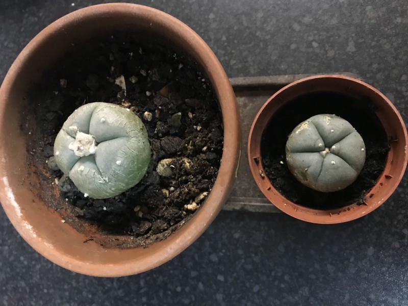 E30F217D-4C4C-41E6-AC76-4F951E6F916D