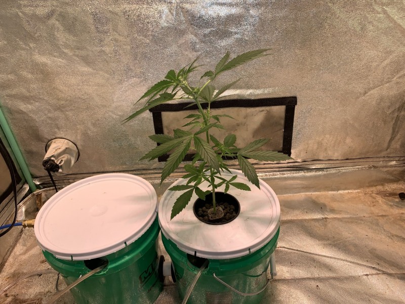 B659C2C0-25AB-4091-AAD5-924CBC72DF7F