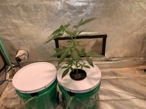 B659C2C0-25AB-4091-AAD5-924CBC72DF7F