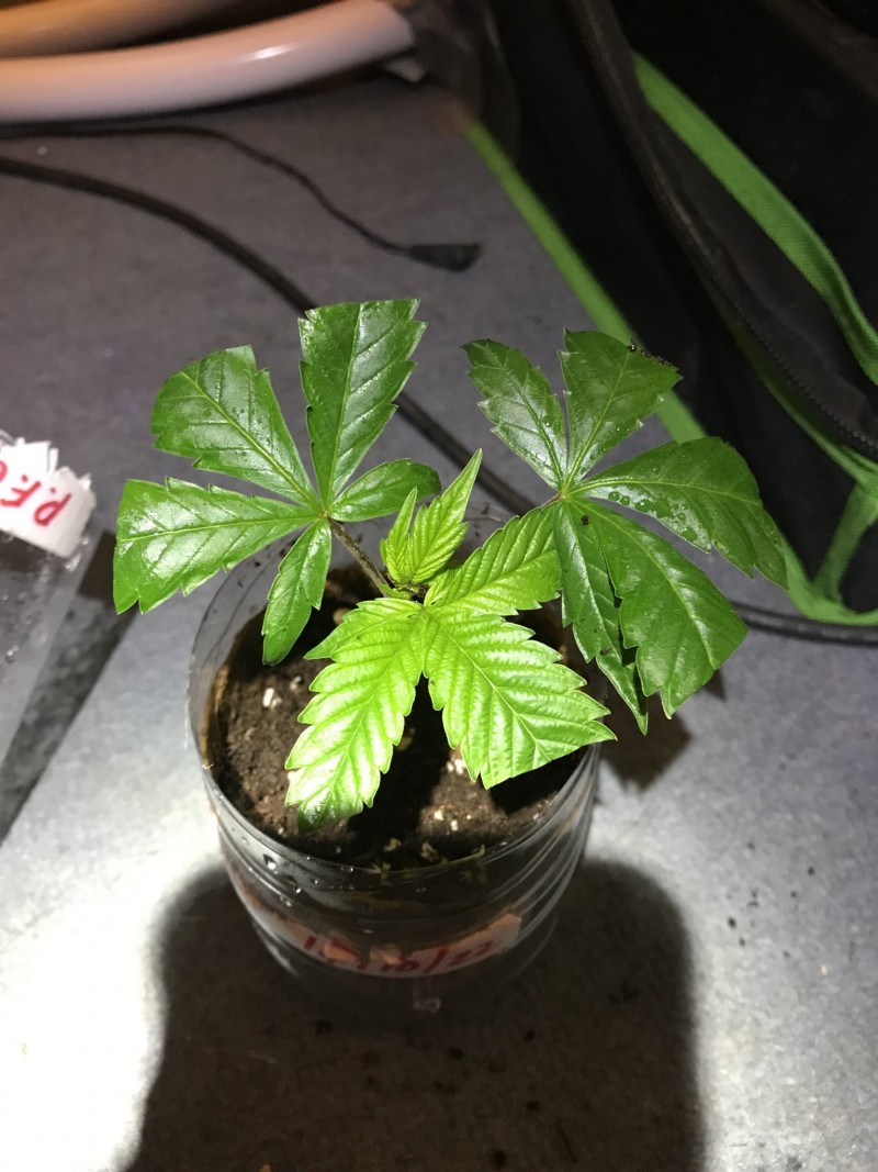 E7BDA534-4CDB-4E8F-BEEC-538A961F400F