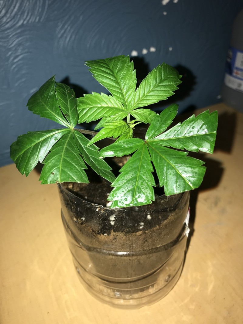 EB247C56-ED8E-43F9-AA7A-B77EAF212495