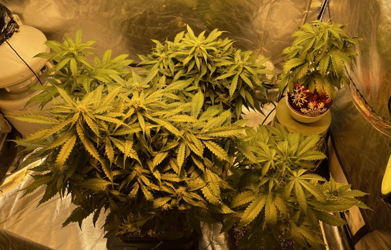 FB3E709D-F058-42C1-817A-77523B40F84C