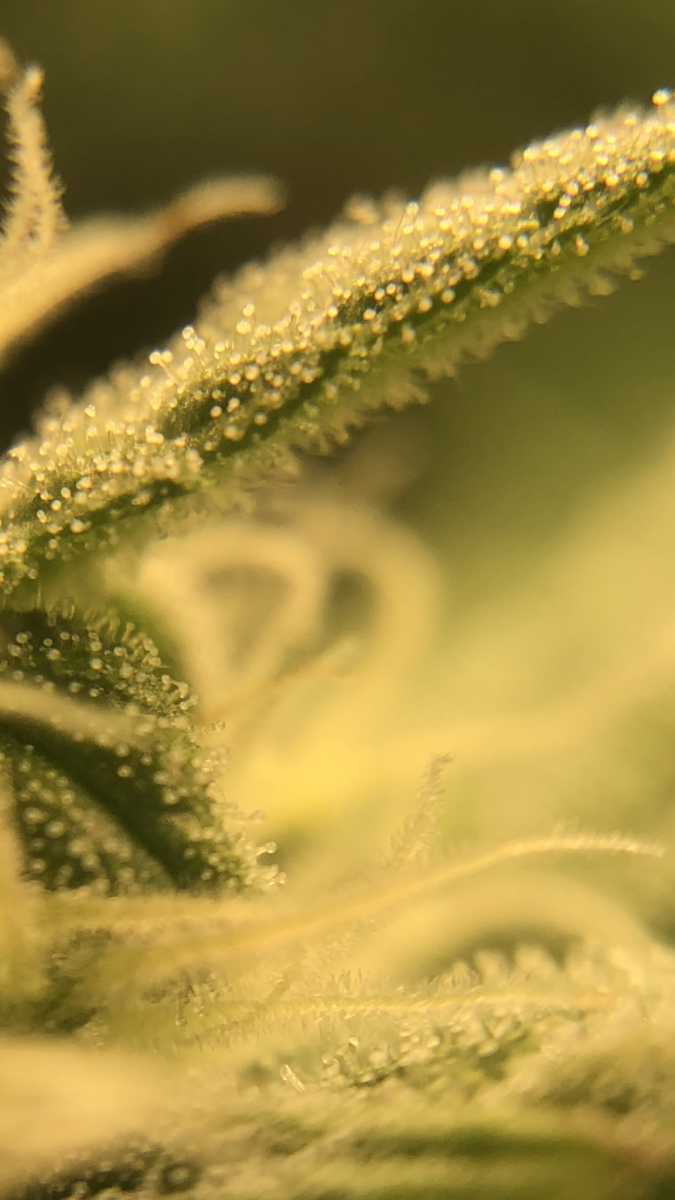 C4895859-F12F-4327-857E-3698AA6DDCE9