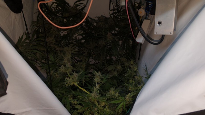 photo_2022-10-18_18-41-27