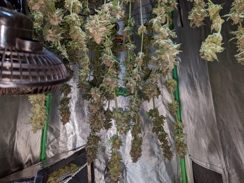 PXL_20221019_170342535