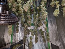 PXL_20221019_170342535