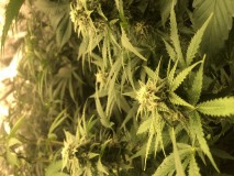 3B12BF2B-3634-4D74-862A-CAEB3ADC2435