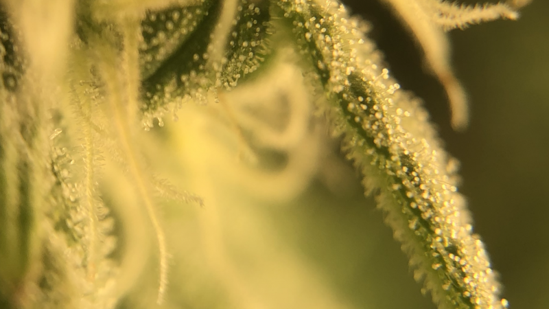 067E6C6E-E959-4C4A-A2A8-3FFCE0620BC9