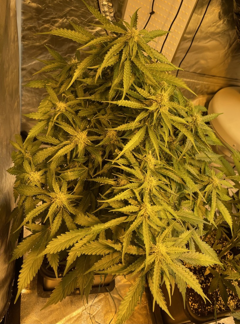 C447AEA1-4EE0-4B6B-B2E0-D57FD2E8AA4F