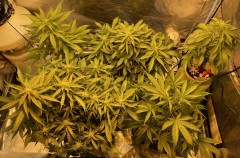 D0632A6E-88C3-4ED5-BCB1-45E8566856FE