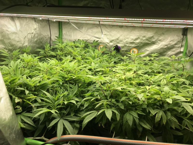 EAE578E4-AE9D-4311-901E-55885B5A41D8