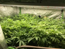 EAE578E4-AE9D-4311-901E-55885B5A41D8