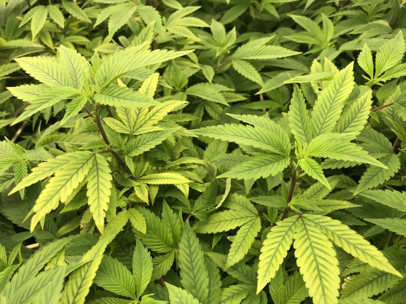 DE61ACB7-3091-46BA-8069-3A14C5616389