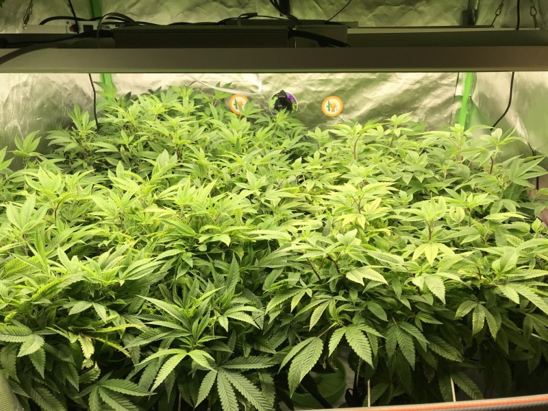 51AD4F6E-6267-42D7-B457-E5E451186A3E