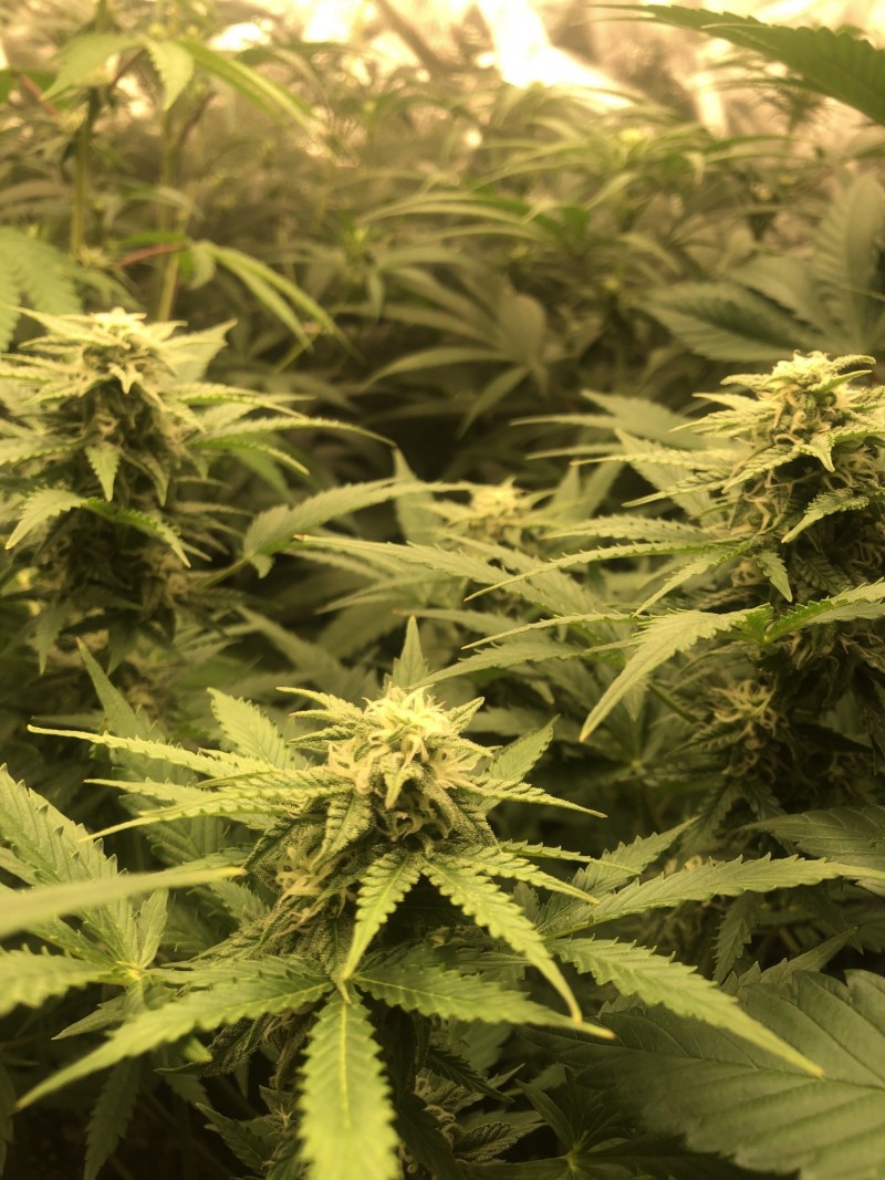 461217B8-F3EA-448C-A08B-832363AE89DC