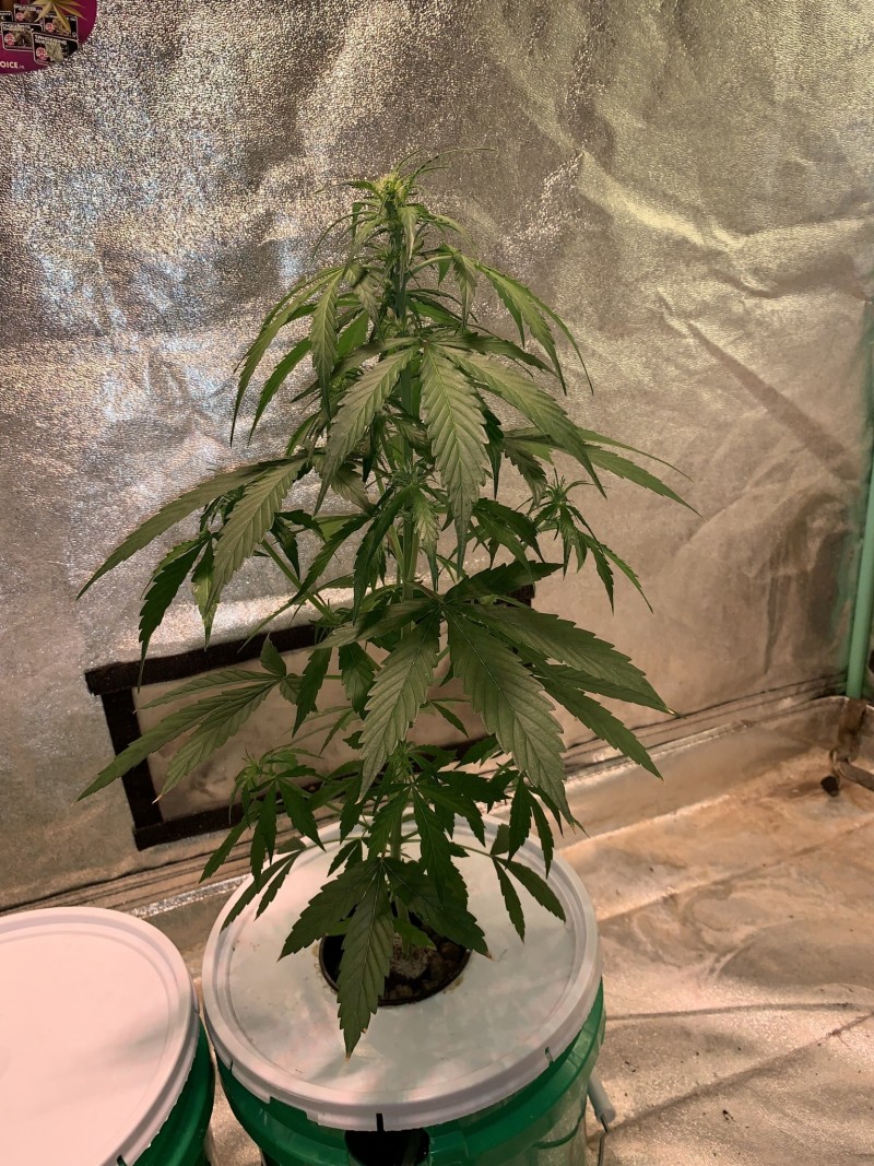 D55DF669-502B-4F95-9EEA-6B8B04A9C344