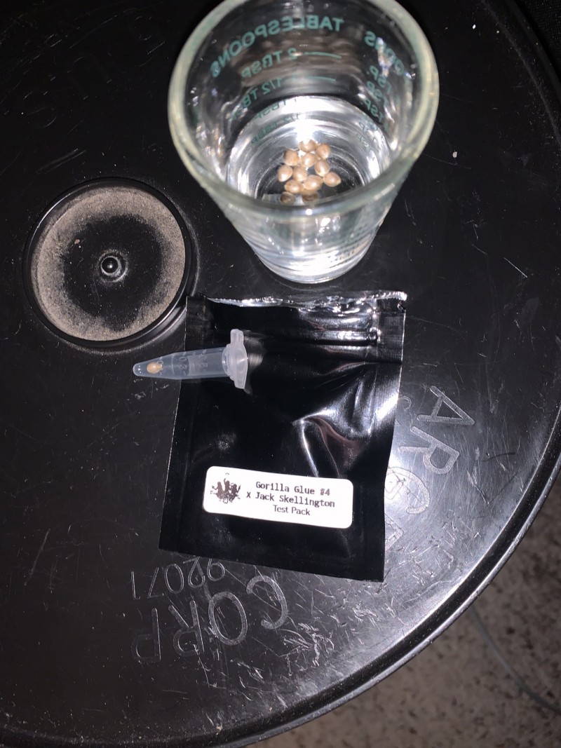 C0153C5F-F8B8-4C81-AA8B-9A143B55E46C