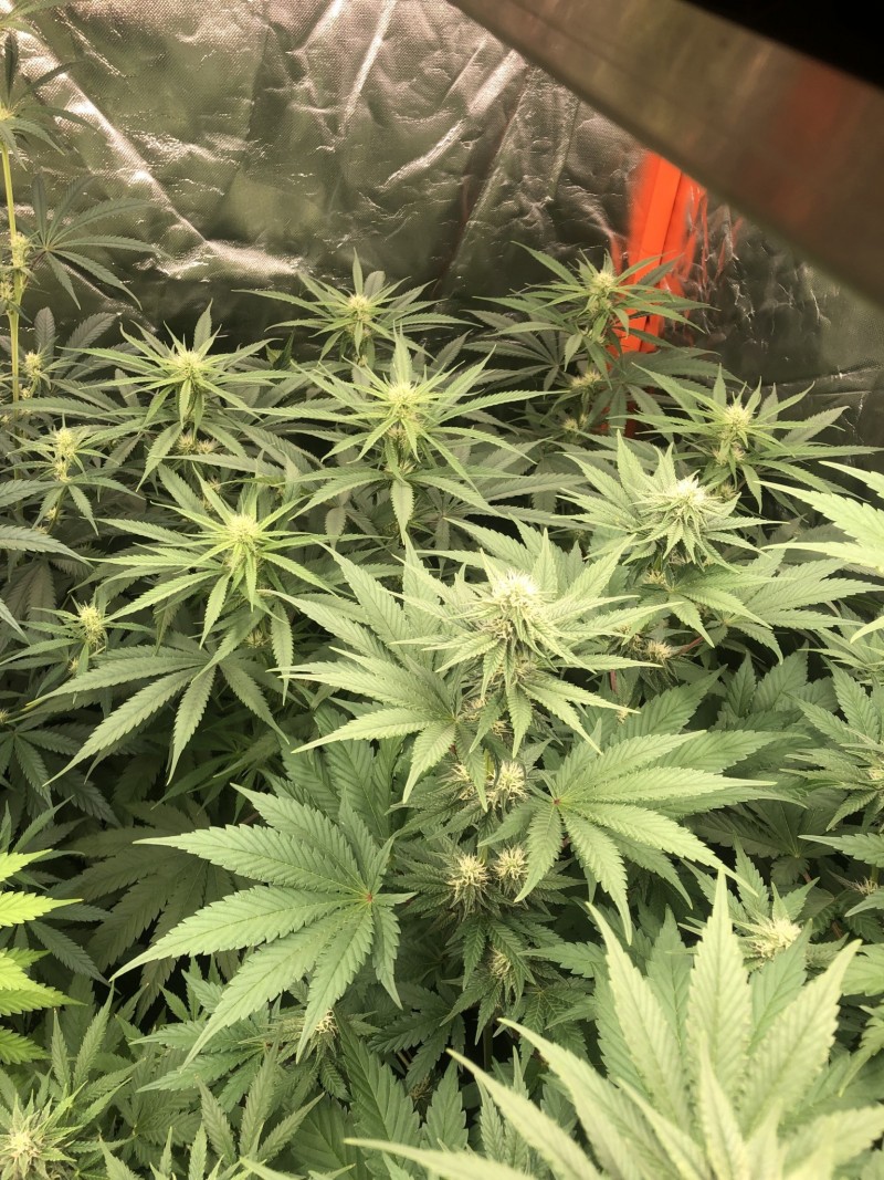 6380FAA4-D875-4312-86F7-9D1C71D74115