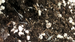 BD905FBB-3065-4DF9-ABF2-F0F42A0F46FE