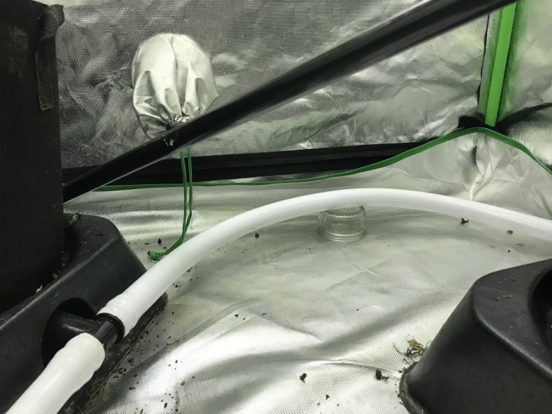 88103B7E-D9B6-4BFA-BC09-324E986CD219