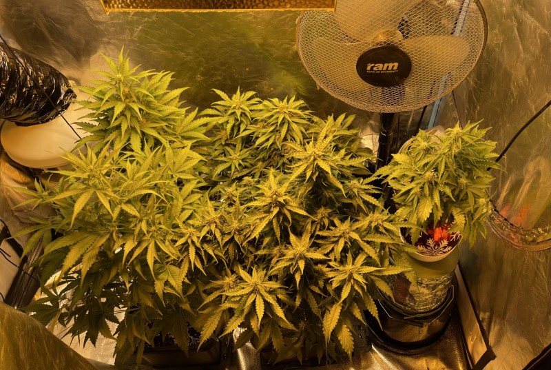 24069942-D28C-4164-B7AD-BA874A34F2B2