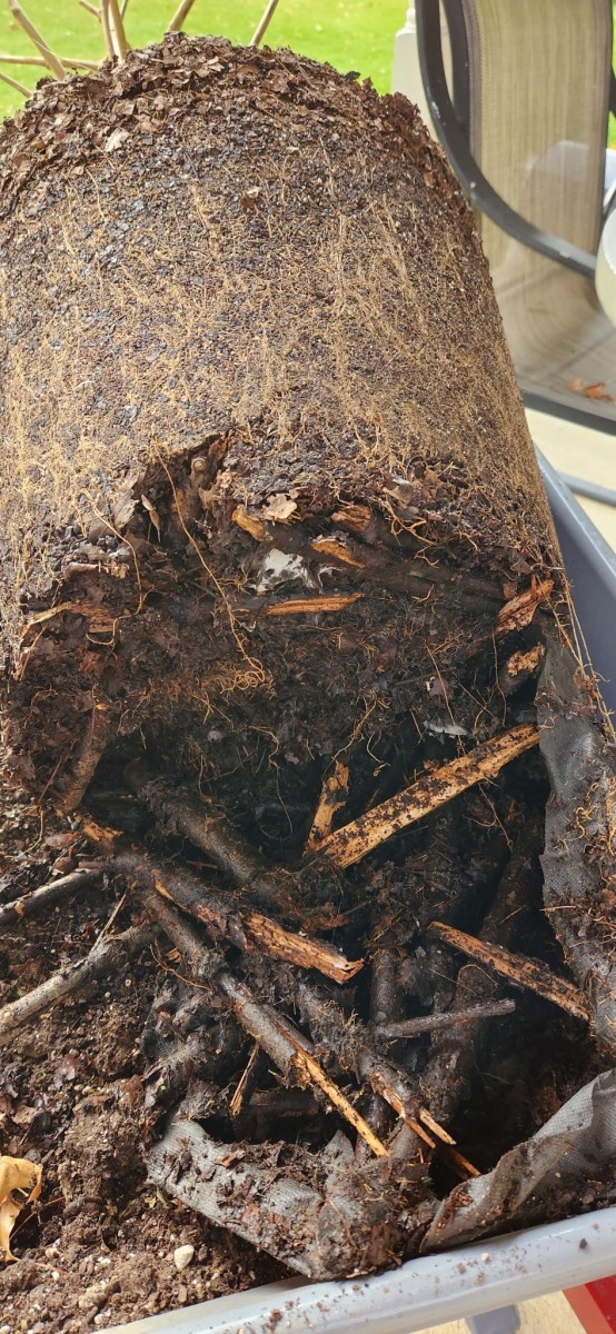 16666469420308836049862163737421