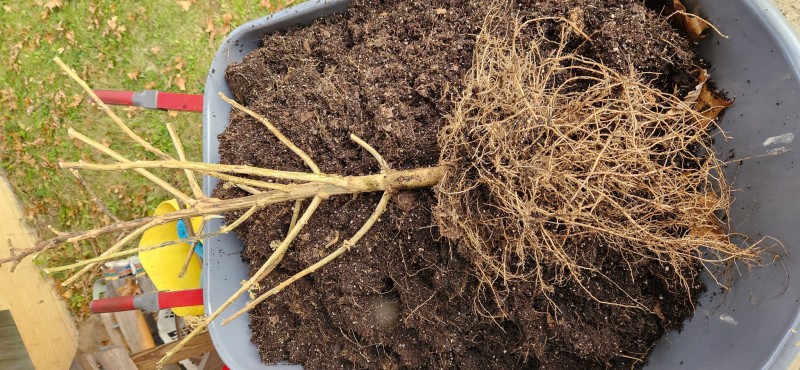 16666472690294408119351986870726