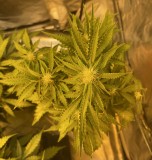 849B053C-5352-4E72-8B6A-5BF977FF818B