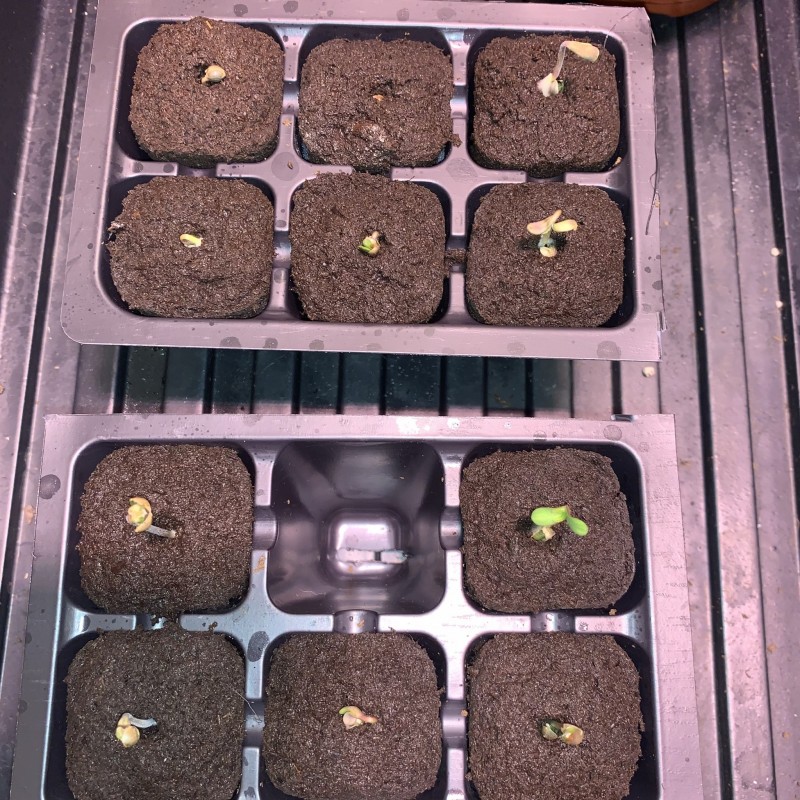 55FFC2B9-7234-4B25-A0AC-7719D65AF02E