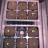 55FFC2B9-7234-4B25-A0AC-7719D65AF02E