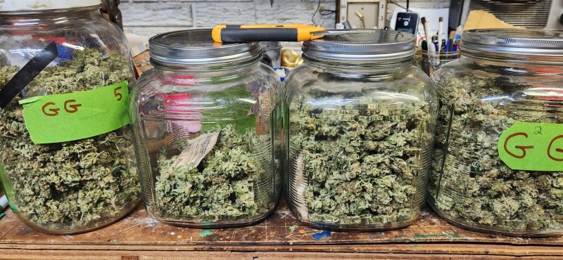 16668152234295857856280134922429