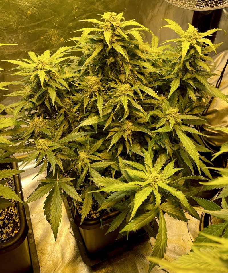 48CDF426-5AF8-43C8-A51C-D70E2AF40A6B