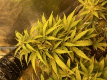 0E6163E7-17F1-464E-9EF3-DB4B2BEE68F5