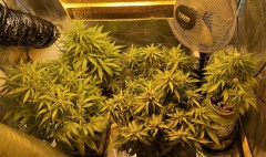 D31FC9CD-31AD-4CBE-937A-4211ED9CCF9F