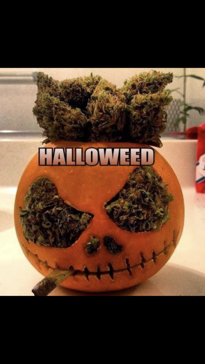 F4412480-4B96-4D53-82F4-67B675E54809