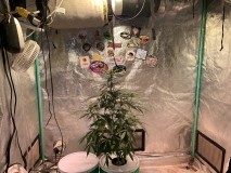 C1BC1586-BEC8-408C-A793-A79998ABD849