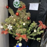 82978C4C-DF1F-4060-A4FF-9C92F8AC87CA