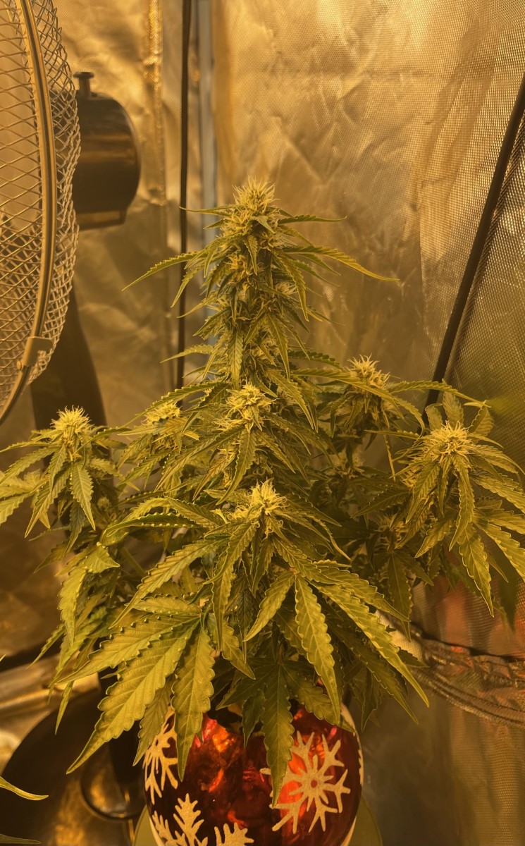 B11DEB71-7305-4AA2-AE93-B2047A7722D9