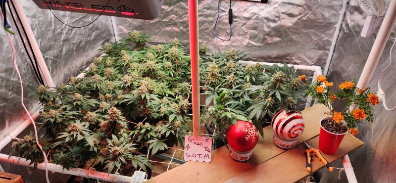 16672602857037367417895547856846