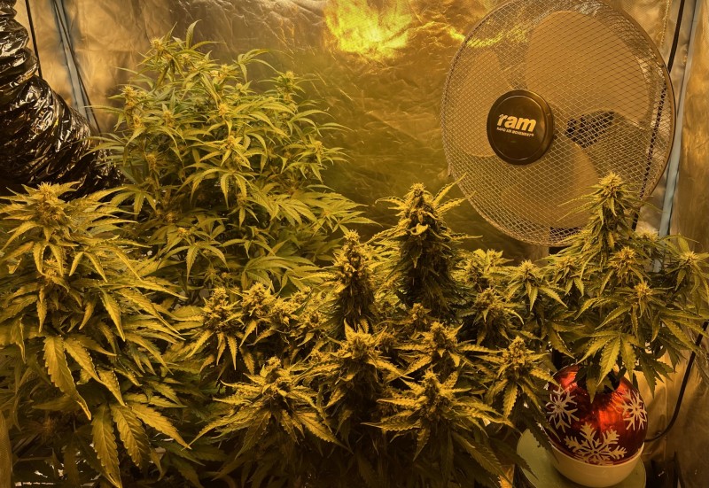 2769026E-7D9B-4051-B0C8-ECFF1C16D9CD