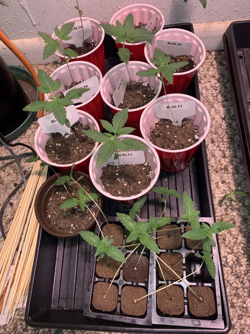 B4C86162-B041-402E-BAF6-6AB1AD594811