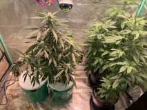 C75CD902-1CE6-45A0-BC35-9D584A53DFDE