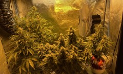 5001D140-6678-40E6-A18A-75CF5A00C770