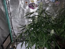 38B19817-FF04-453B-AAC2-0C105AE93A75