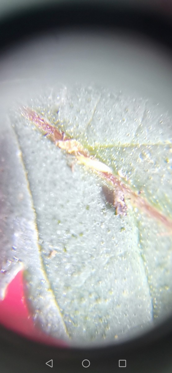 Screenshot_20221115_185524_com.android.gallery3d