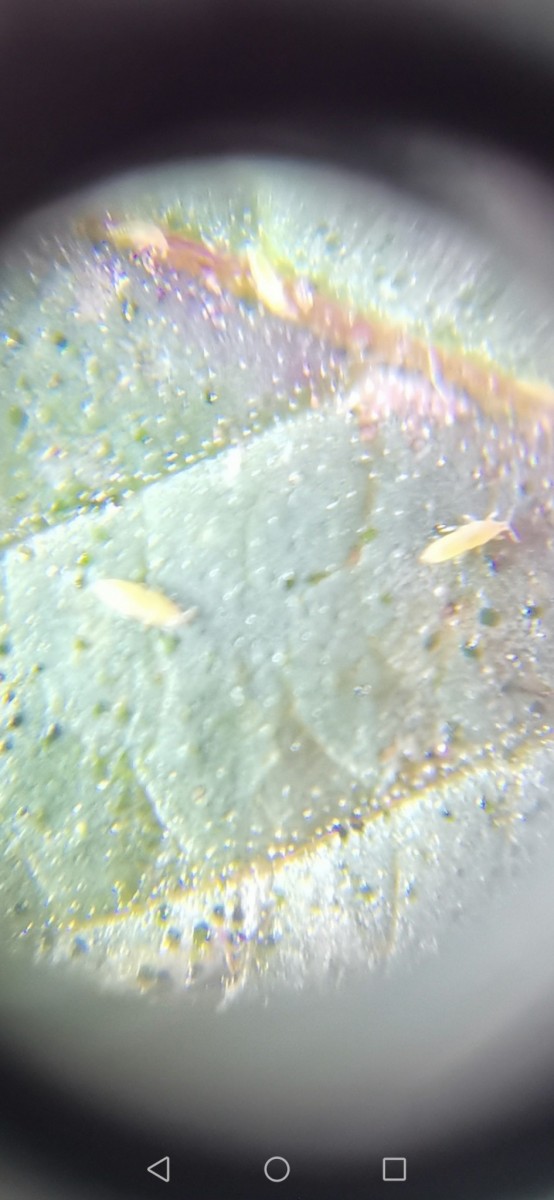 Screenshot_20221115_185533_com.android.gallery3d