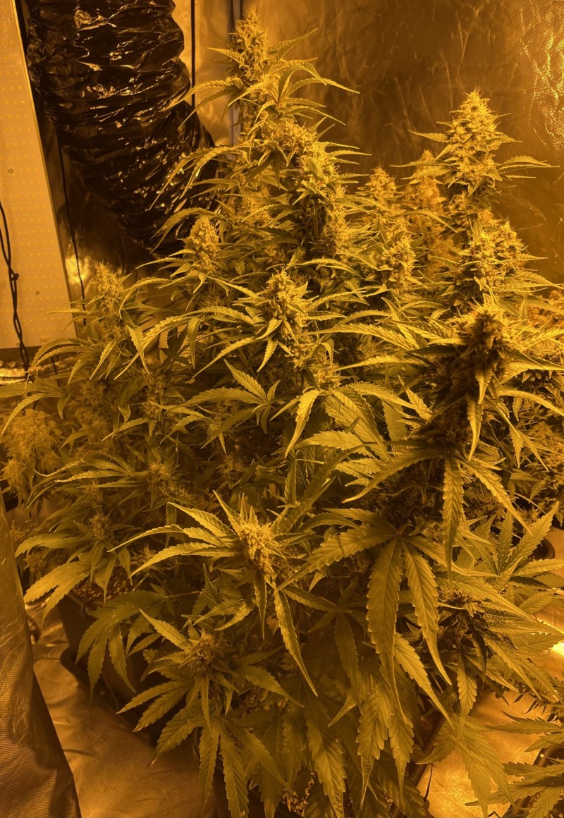 C839880E-A0AB-4A99-B835-7ED26A9DBBFB