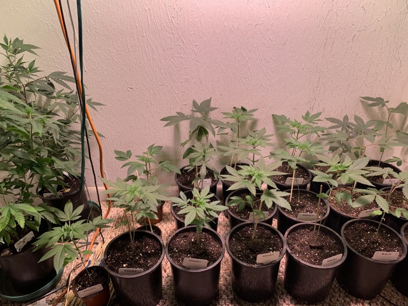 D6F9D30A-6EB6-41A7-9F02-3F0118163A27